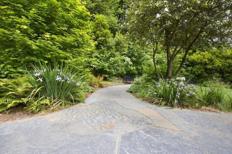 Elegant Paver Pathway
